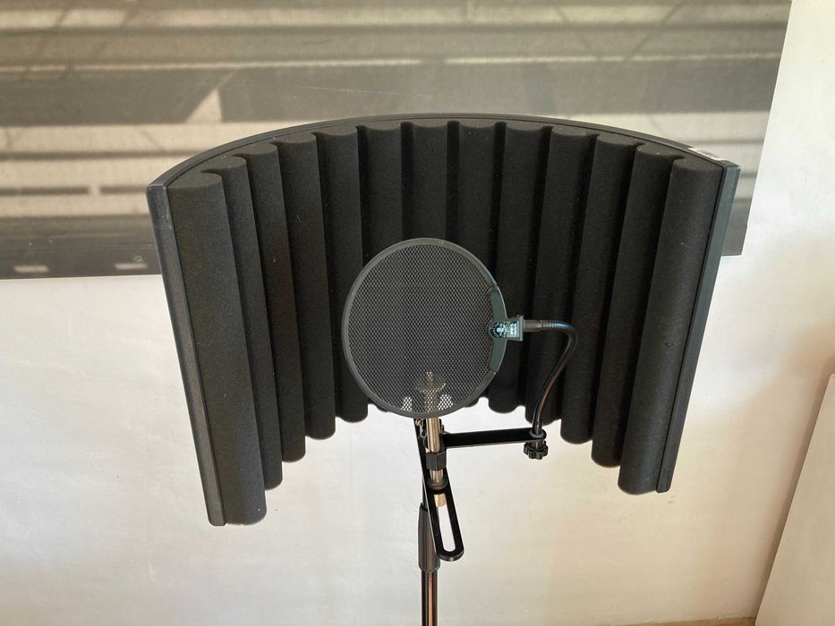 SE Electronics RF-X Reflexion Filter