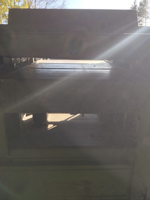 Grubościówka  Jaroma