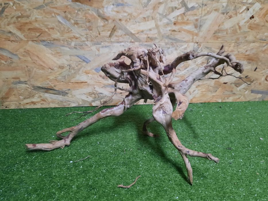 Korzeń do akwarium Red Moore Wood nr 871 o wymiarach 52/22/34