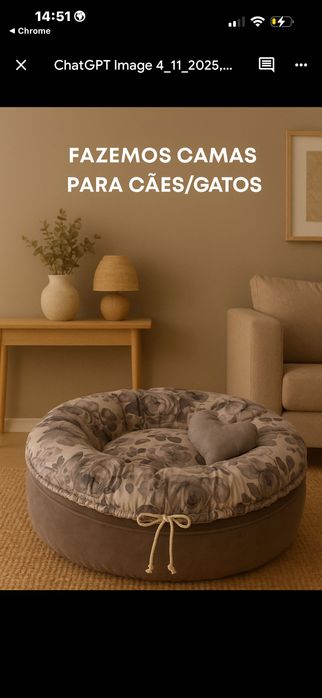 Caminhas para os nossos patudinhos