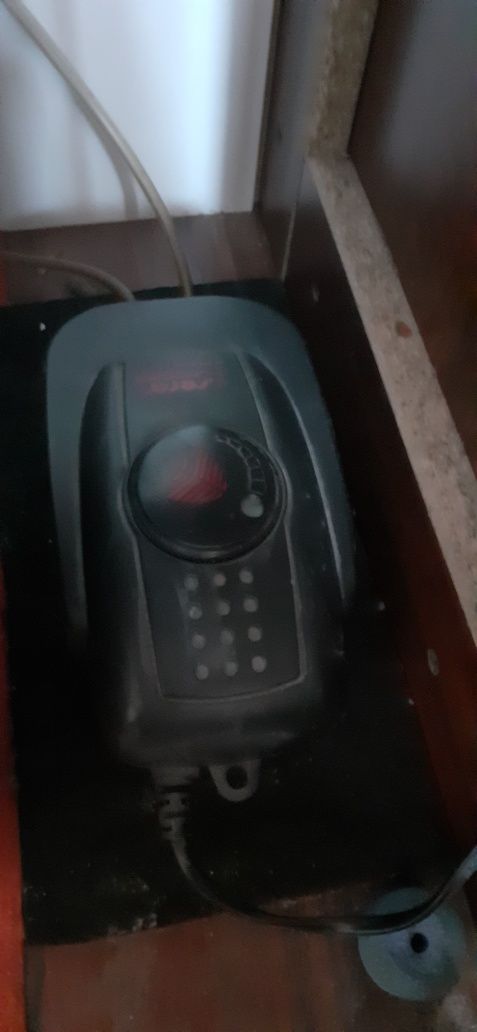 Akwarium z życiem 140x60x40