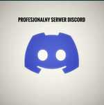 Serwer discord (profesjonalny)