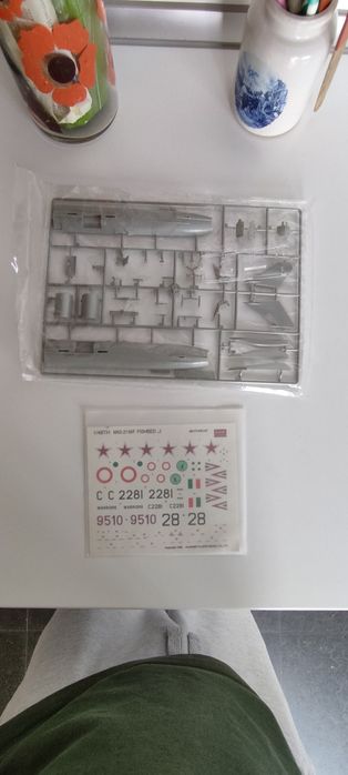 1/48 Academy Mig-21 MF