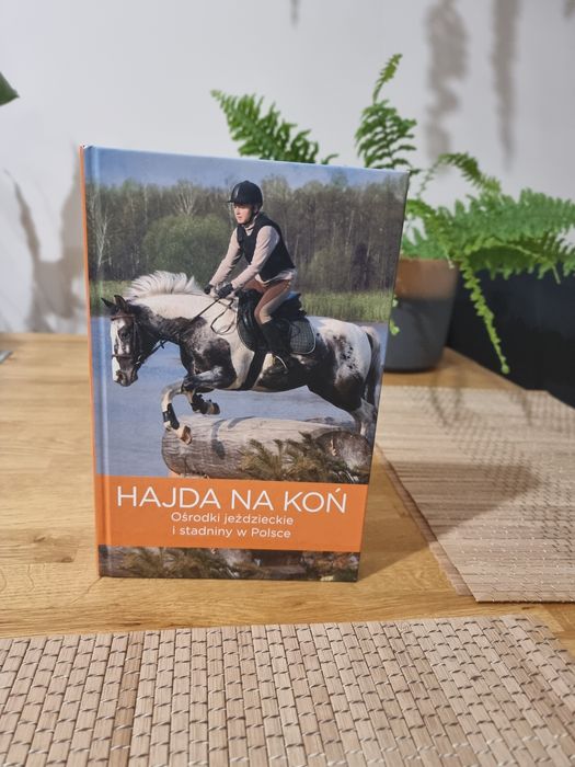 Hajda na koń! Ośrodki jeździeckie i stadniny w Polsce