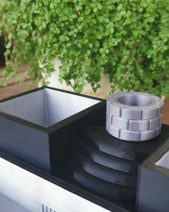 Vaso suculentas e catos