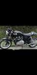 Triumph Thruxton 900