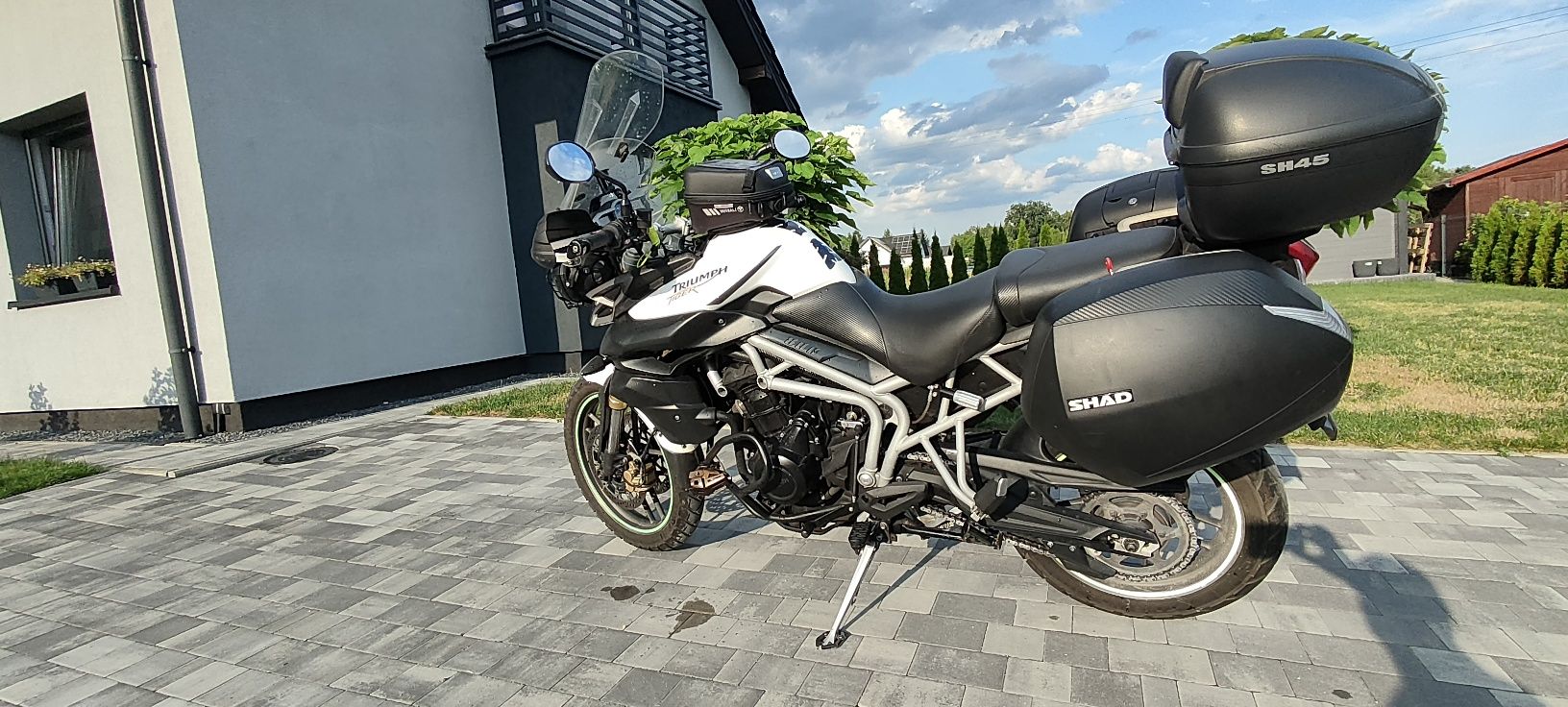 Triumph Tiger 800