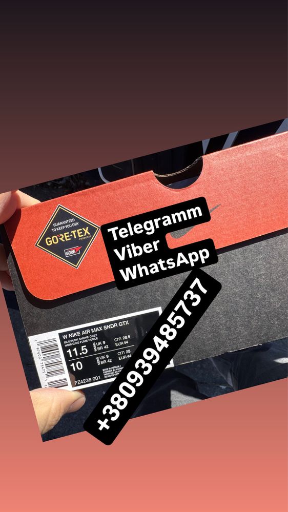 Кроссвки Nike W Nike Air Max SNDR GORE-Tex (FZ4238)