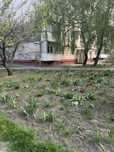 Продам 1-кімнатну квартиру Бородинський (без комісії)