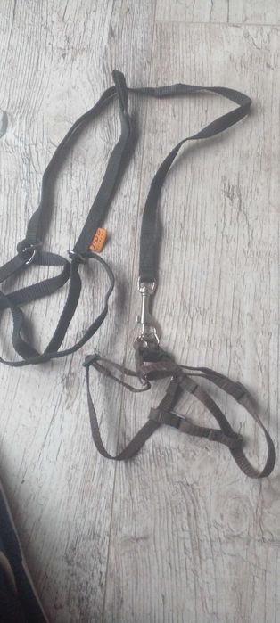 Продам игровой комплекс с домиком для котят.