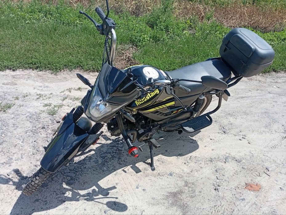 Mustang 125 Fit 2024