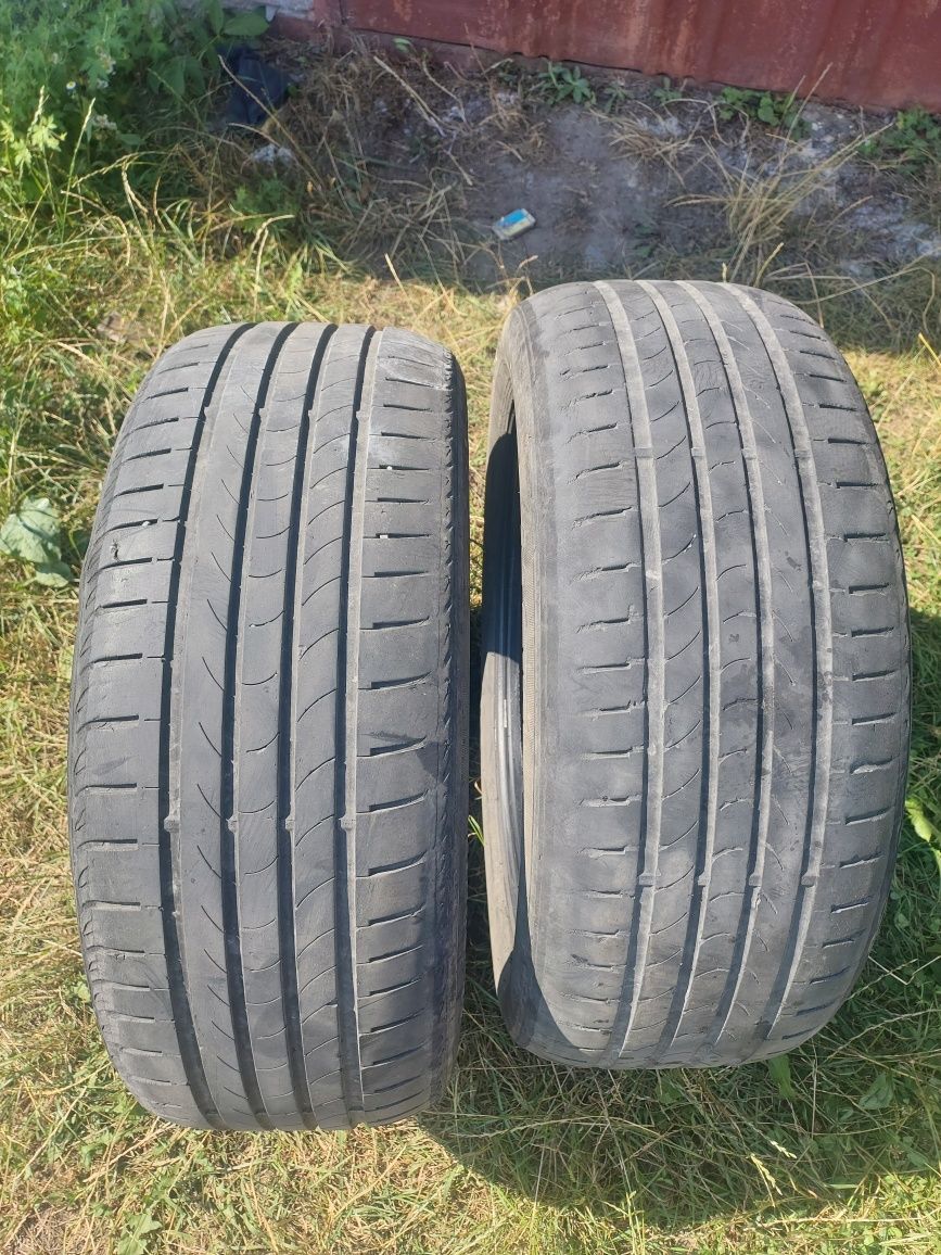 Шини 225/50 r17 NEXEN