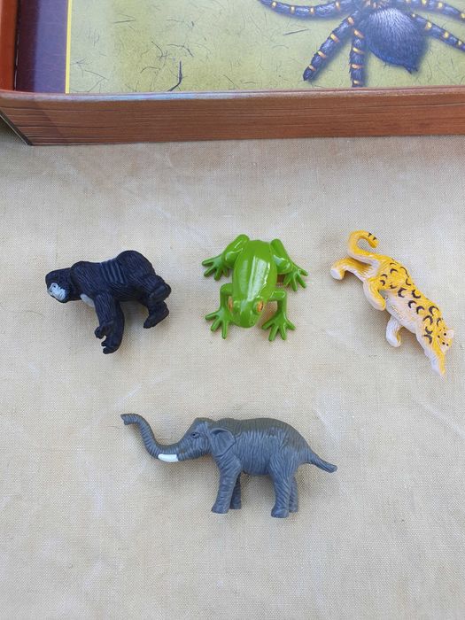 Jogo de tabuleiro para crianças «Aventura Na Floresta Tropical»