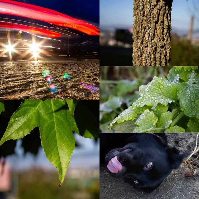 Canon EOS 1100D + Lente 18-55mm IS III + acessórios