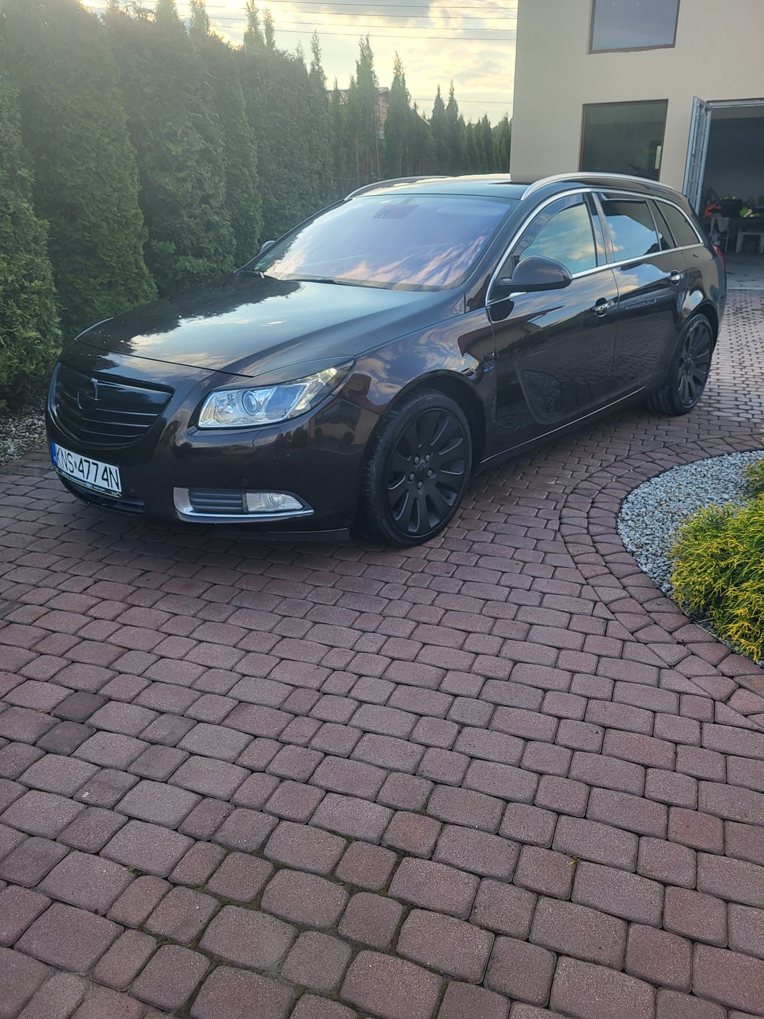 Opel insignia 2.0 cdti