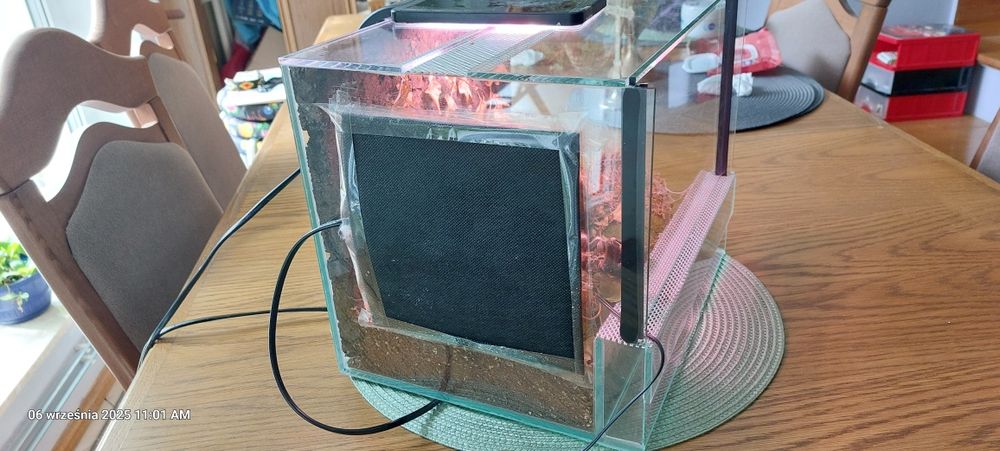 Terarium dla pająka.