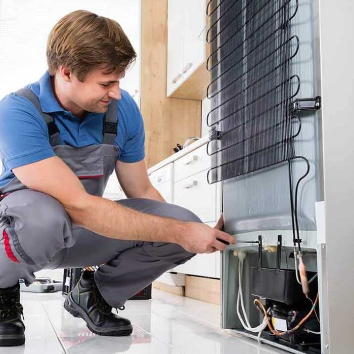 Професійний сервіс для холодильників і пральних машин