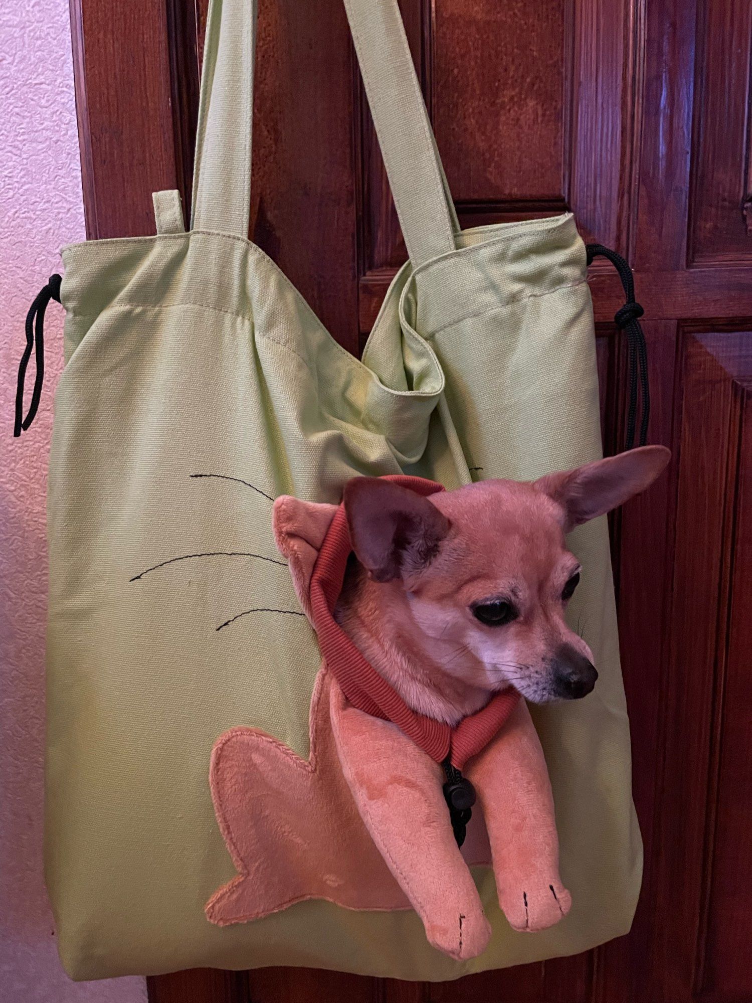 Сумка переноска, рюкзак для домашніх тварин ,сірий
