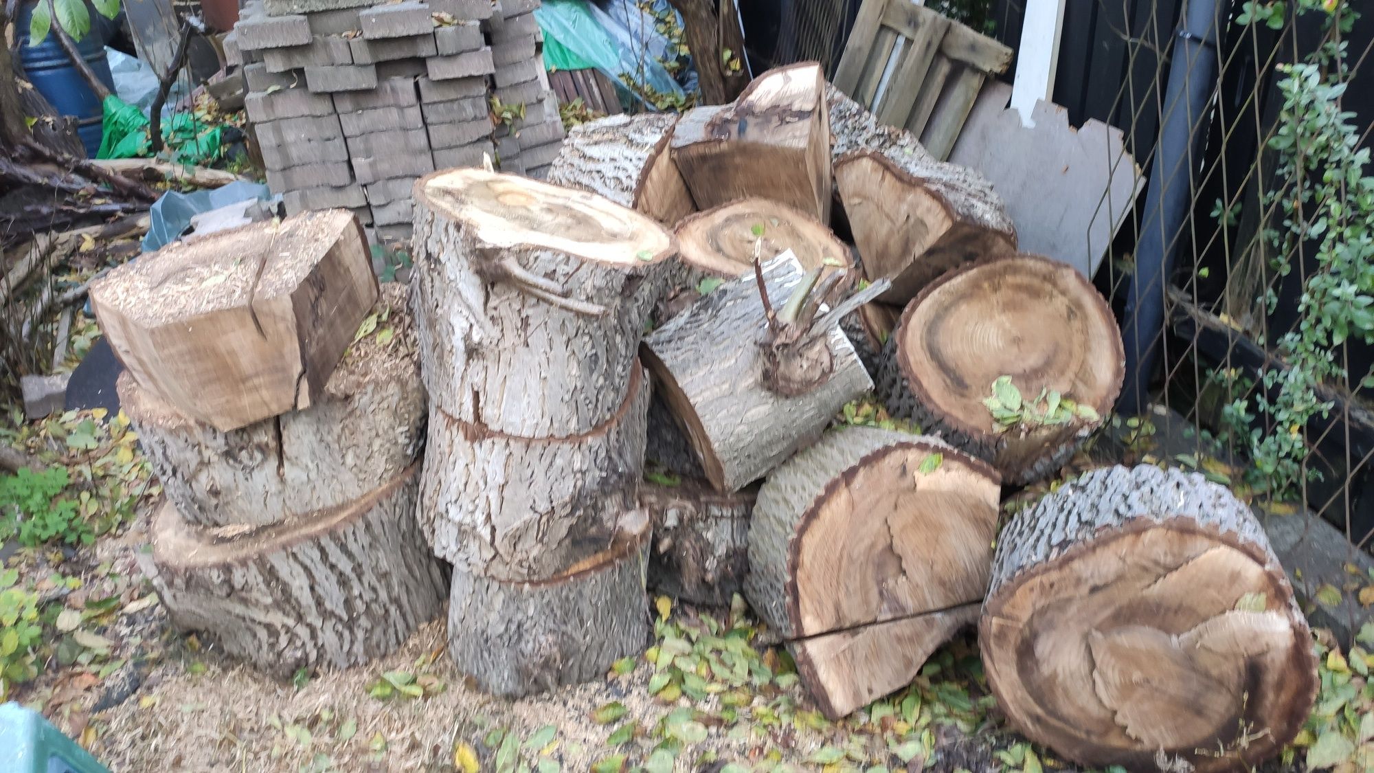 Drewno orzech orzechowe Kłoda pień kawałki średnica 70 cm