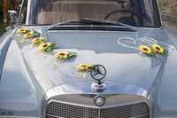 SŁONECZNIKOWA dekoracja na samochód ślubny w super cenie Nr 256