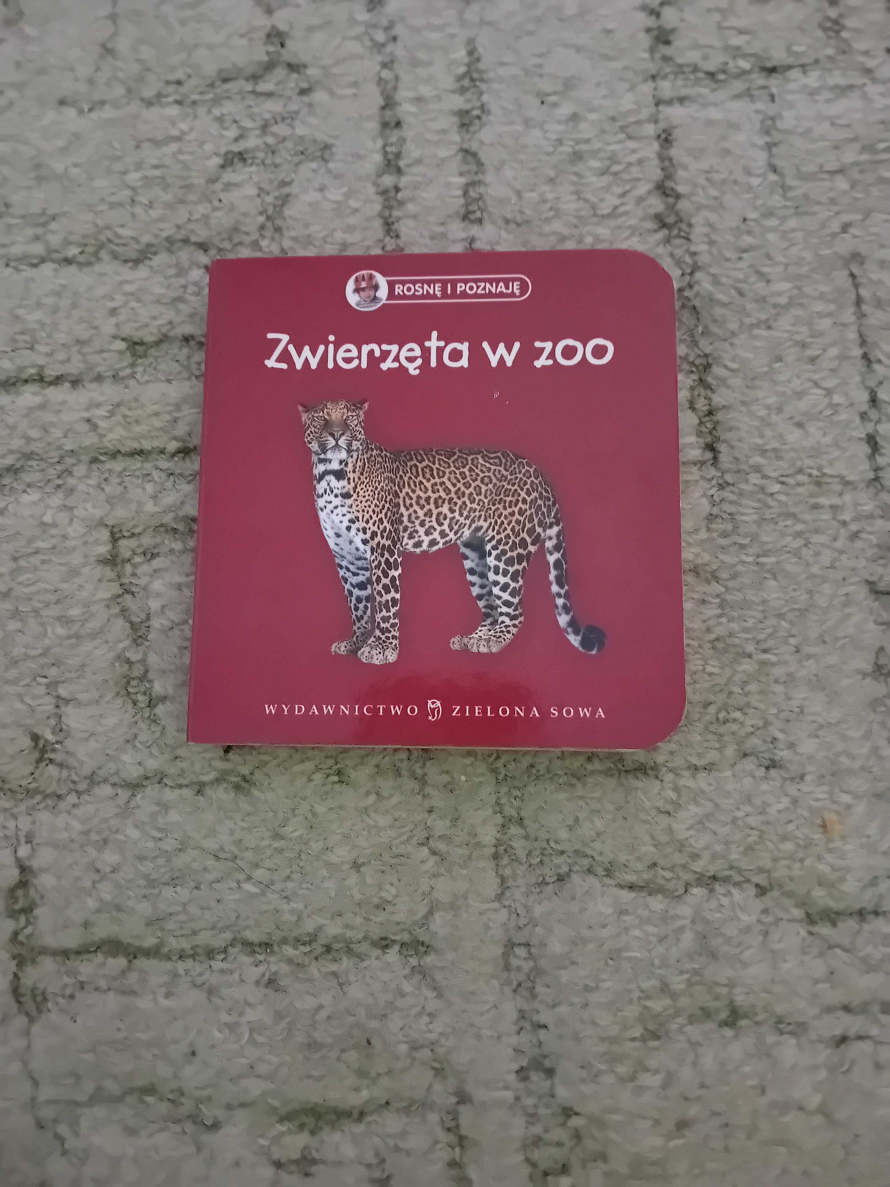 Książeczka rosnę i poznaję zwierzęta w zoo