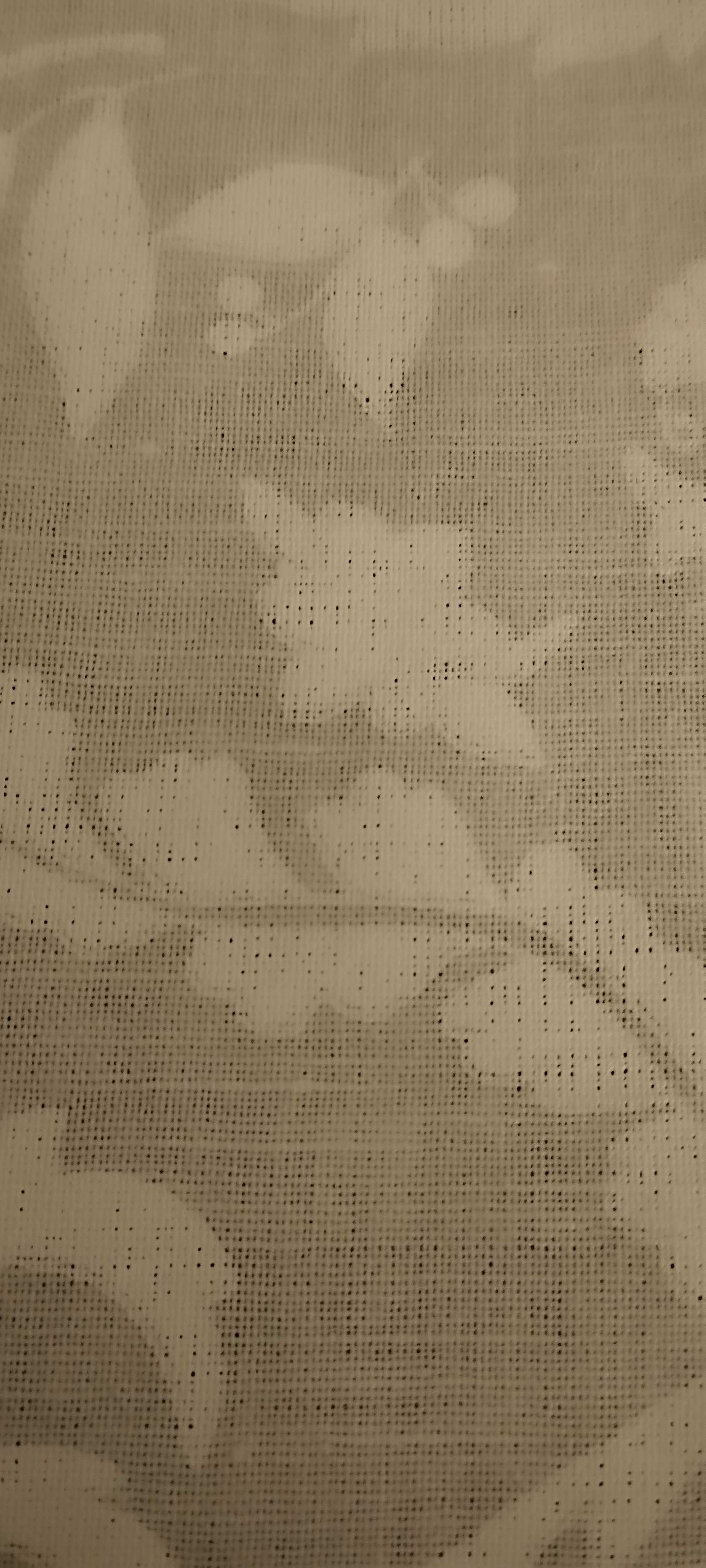 Guardanapos Zara Home algodão lavrado branco
