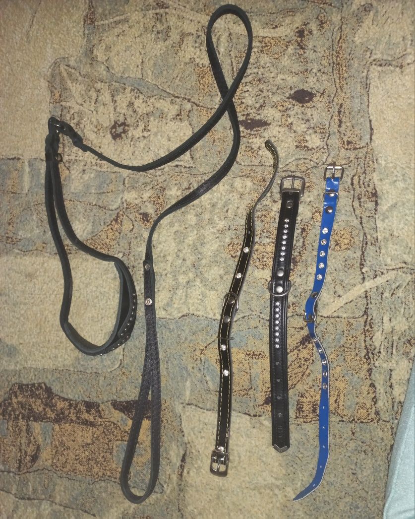 Ошейник нашийник со стразиками, ринговка поводок контроллер собаки кот