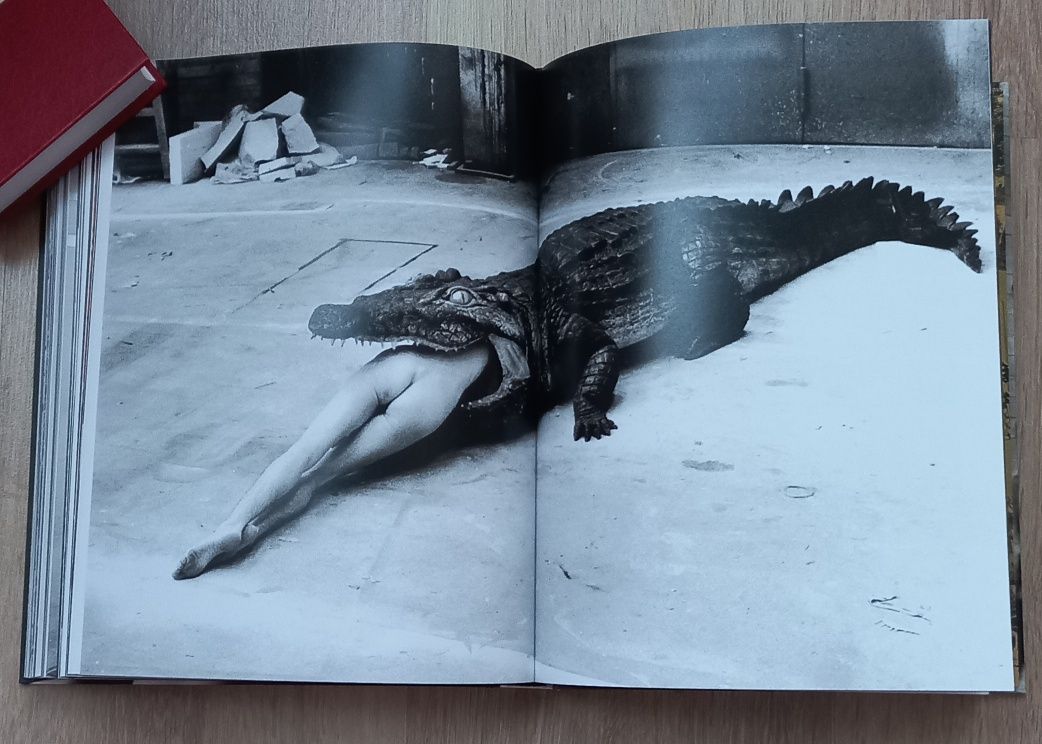 Work. Helmut Newton. Хельмут Ньютон