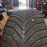 Opony Całoroczne Leon 205/55R16 91V