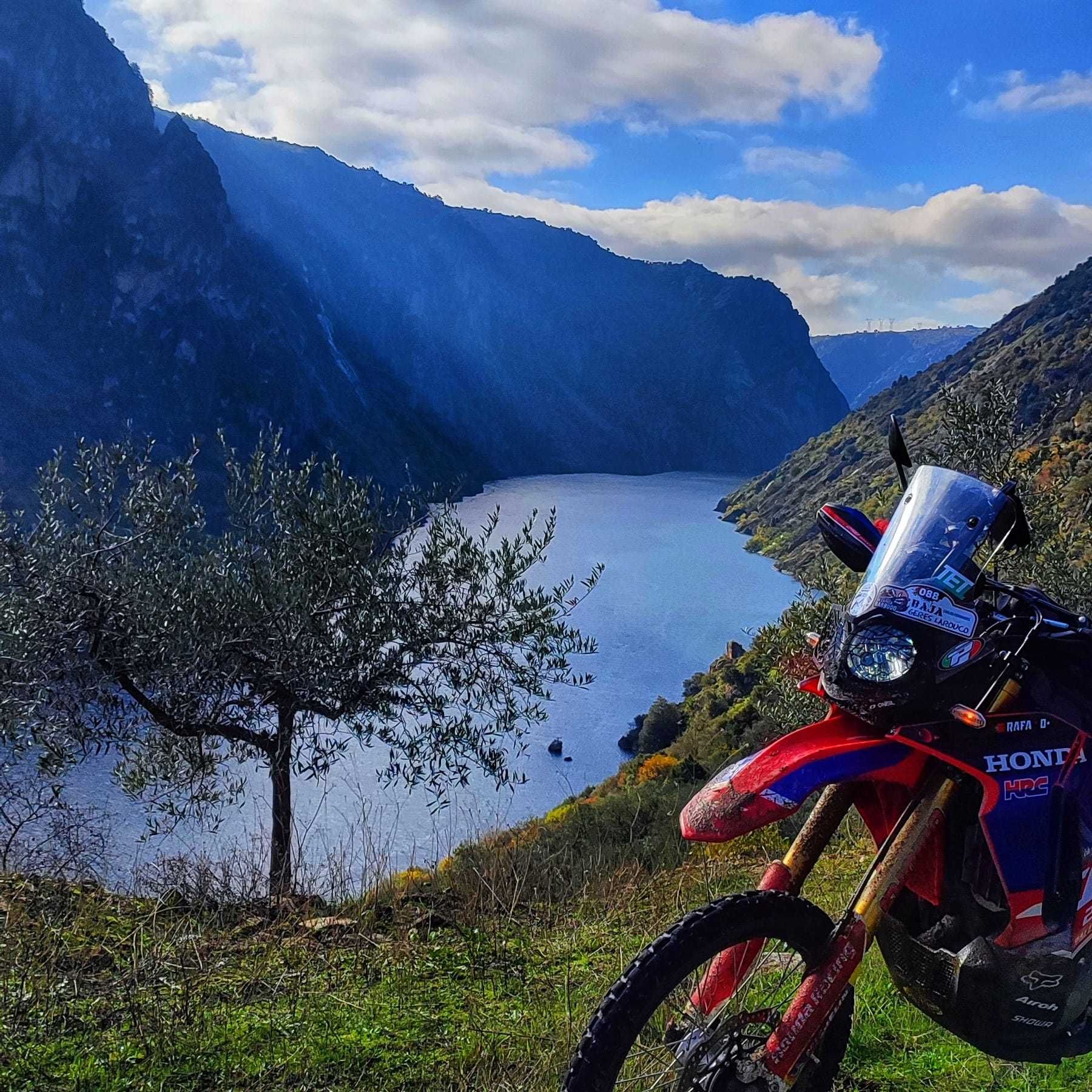 Honda CRF 250 rally
