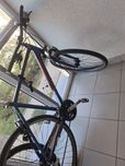 Rower winora kola 28
