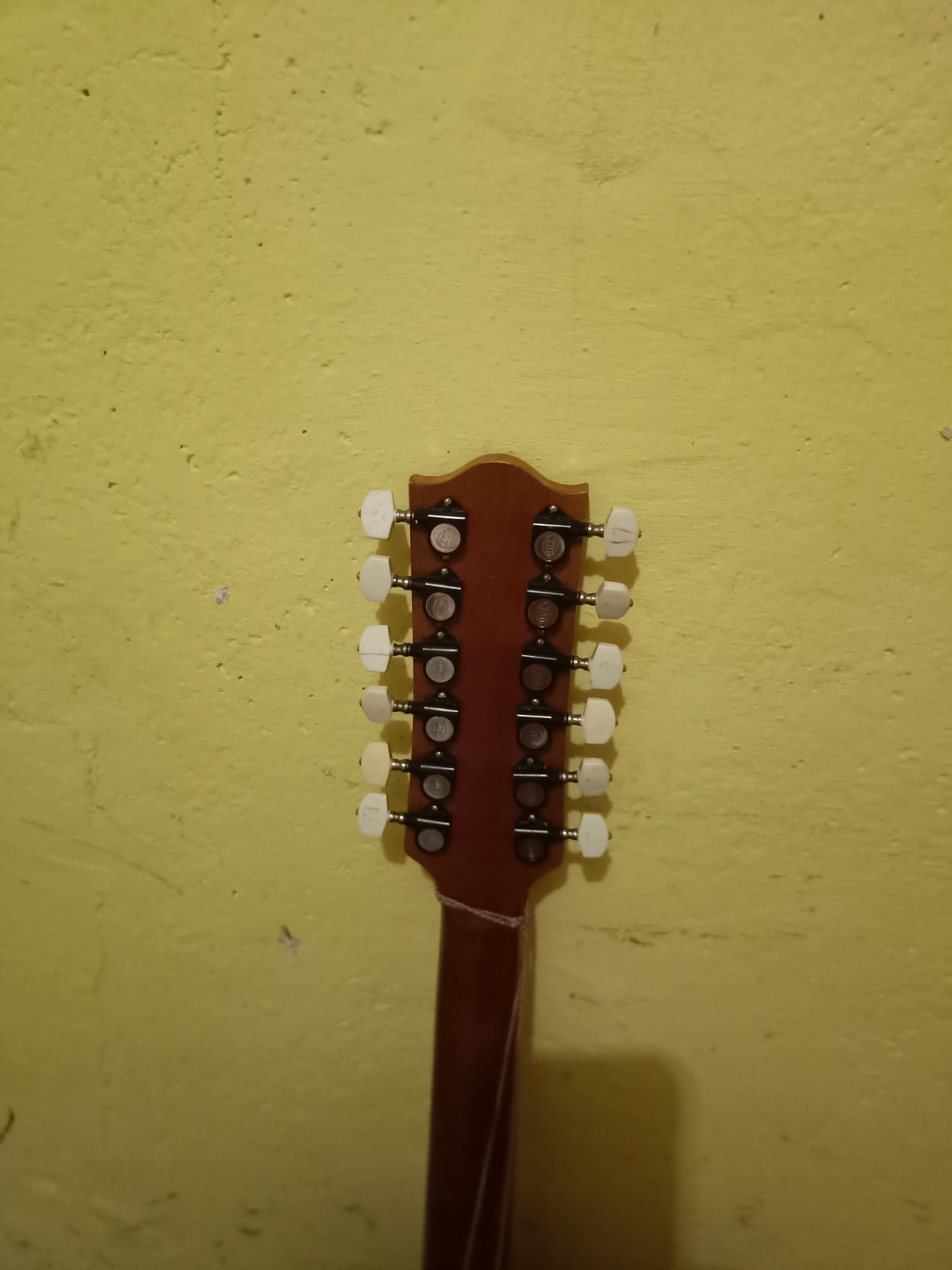 Gitara delfin 12 akustyczna
