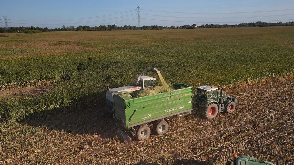 Koszenie kukurydzy na ziarno przyczepa przeładowcza