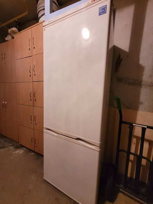 Lodówka z zamrażalnikiem