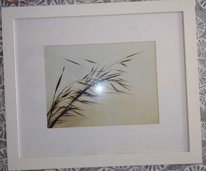 3 quadros com moldura branca