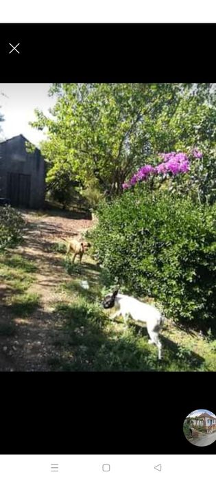 Casa usada com grandes áreas de terreno