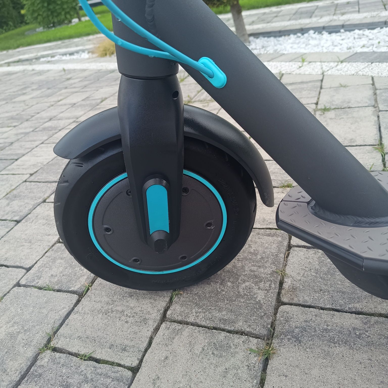 Motus Scotty 10 lite