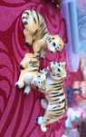 Conjunto de 3 tigres antigos
