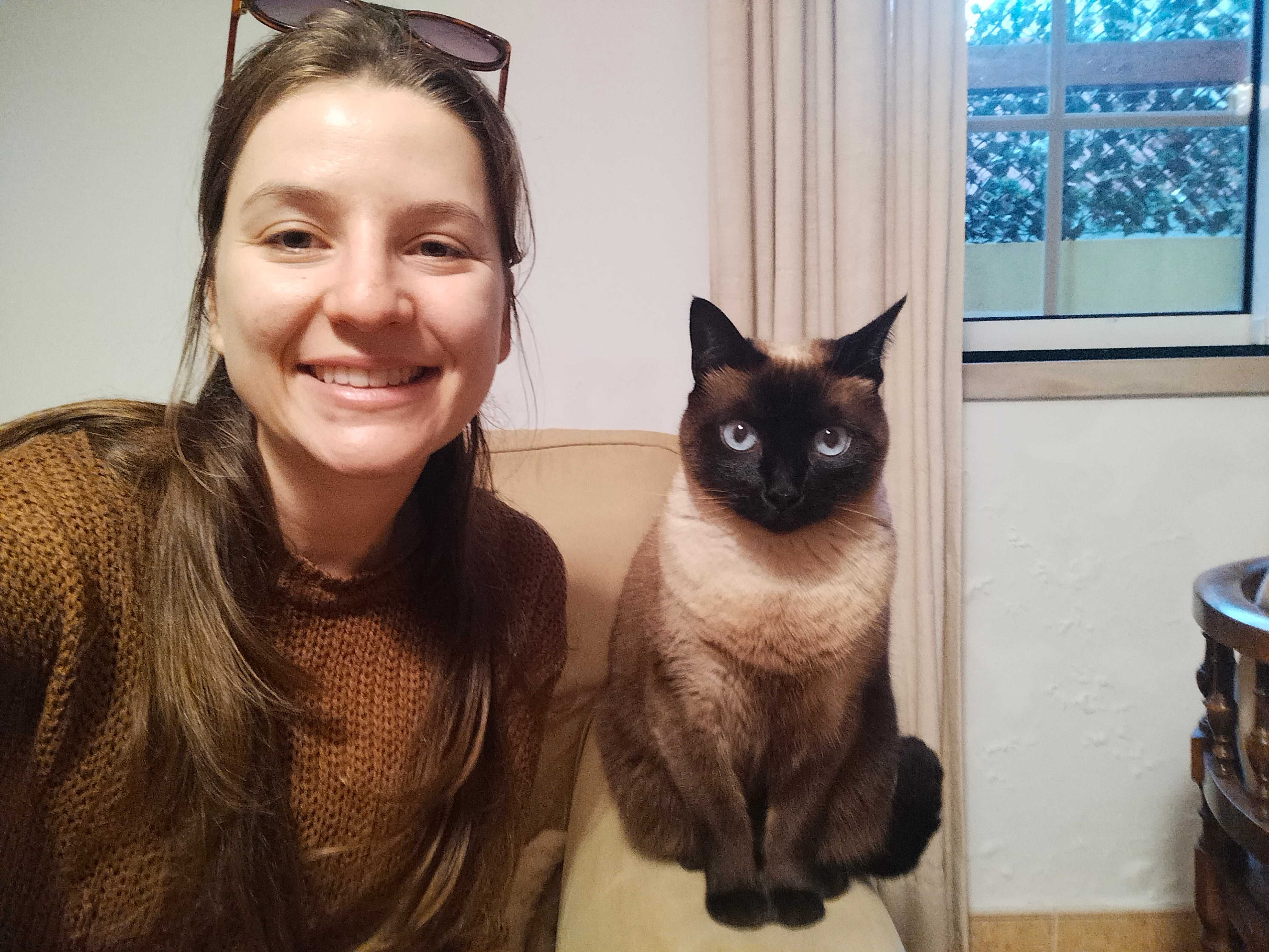 Passeios/Pet sitting/ hotel familiar