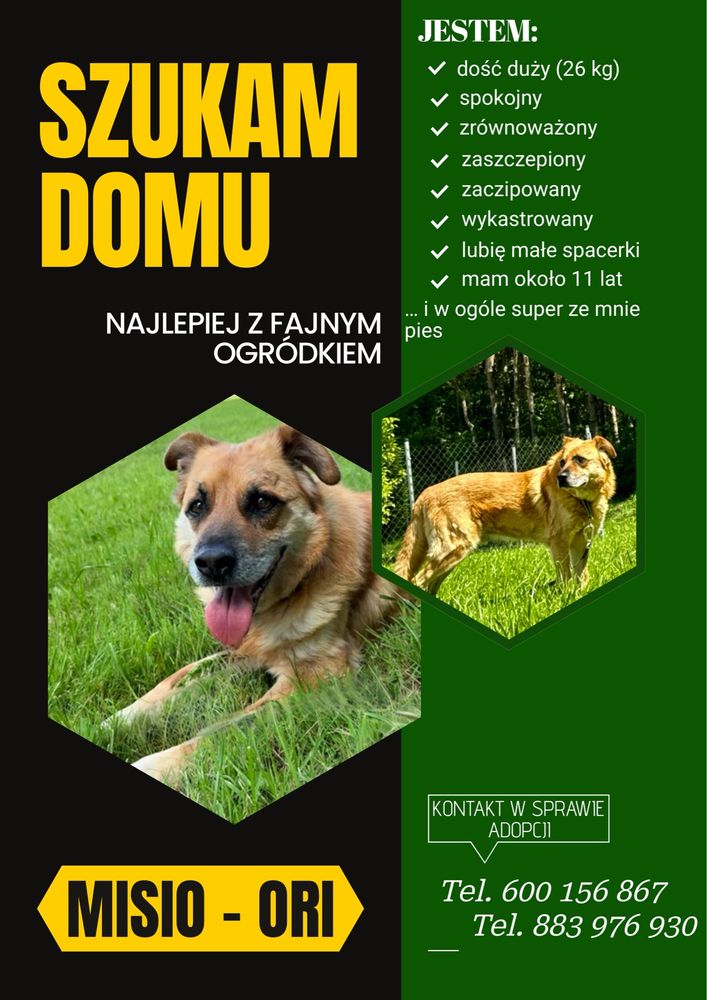 ORI ma dość bezdomności
