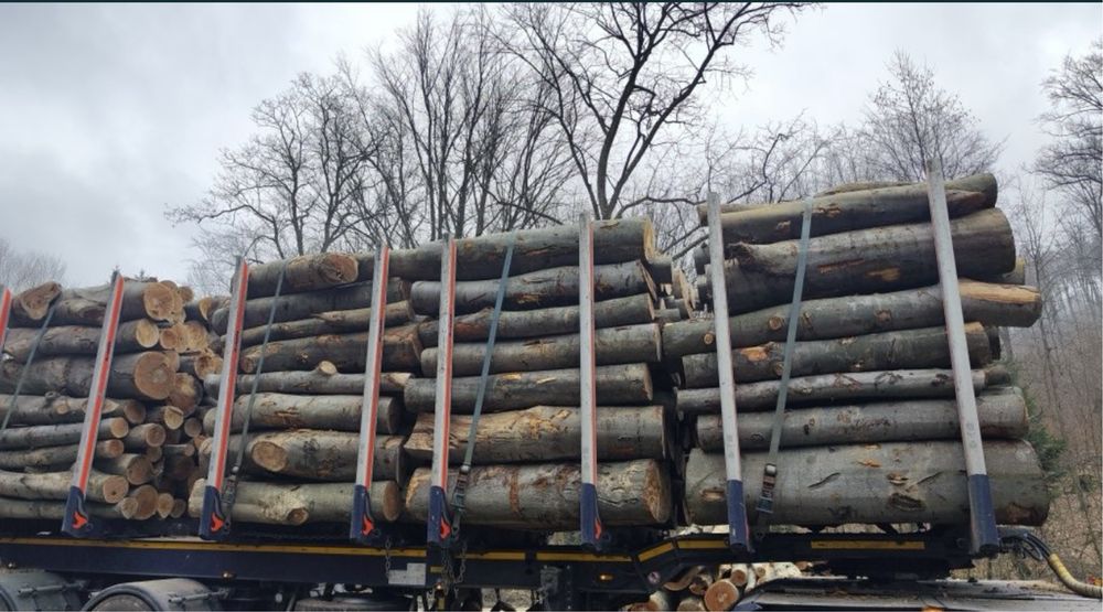 Drewno kominkowe opałowe grube swietna jakosc