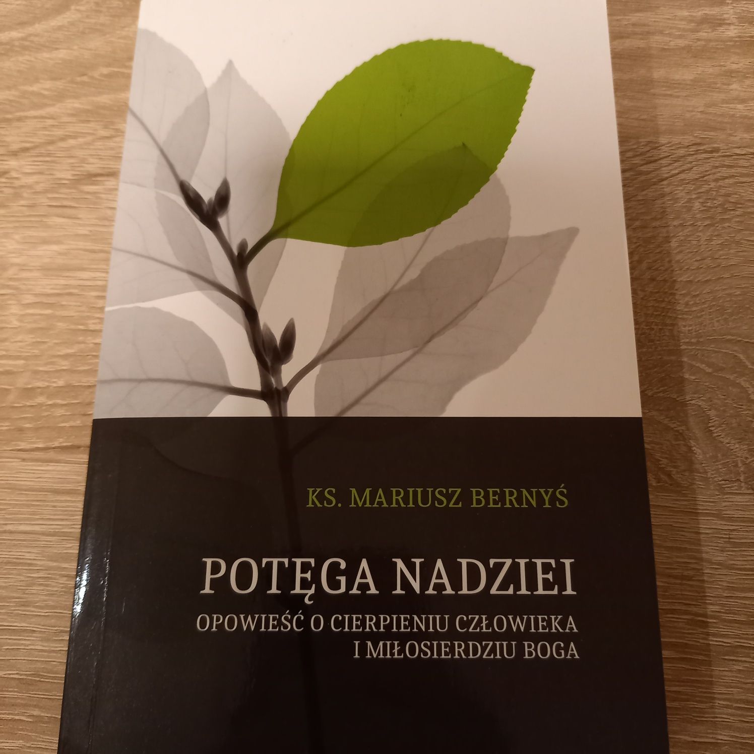 Książka Potęga Nadziei / Bernyś