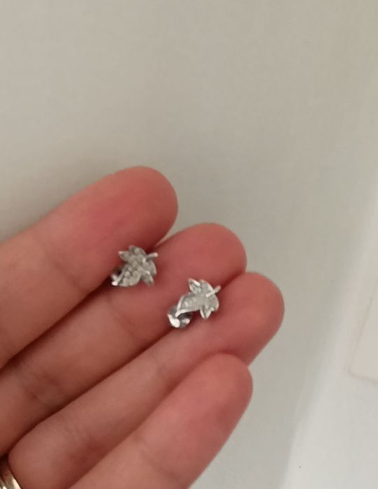 Brincos folha em prata