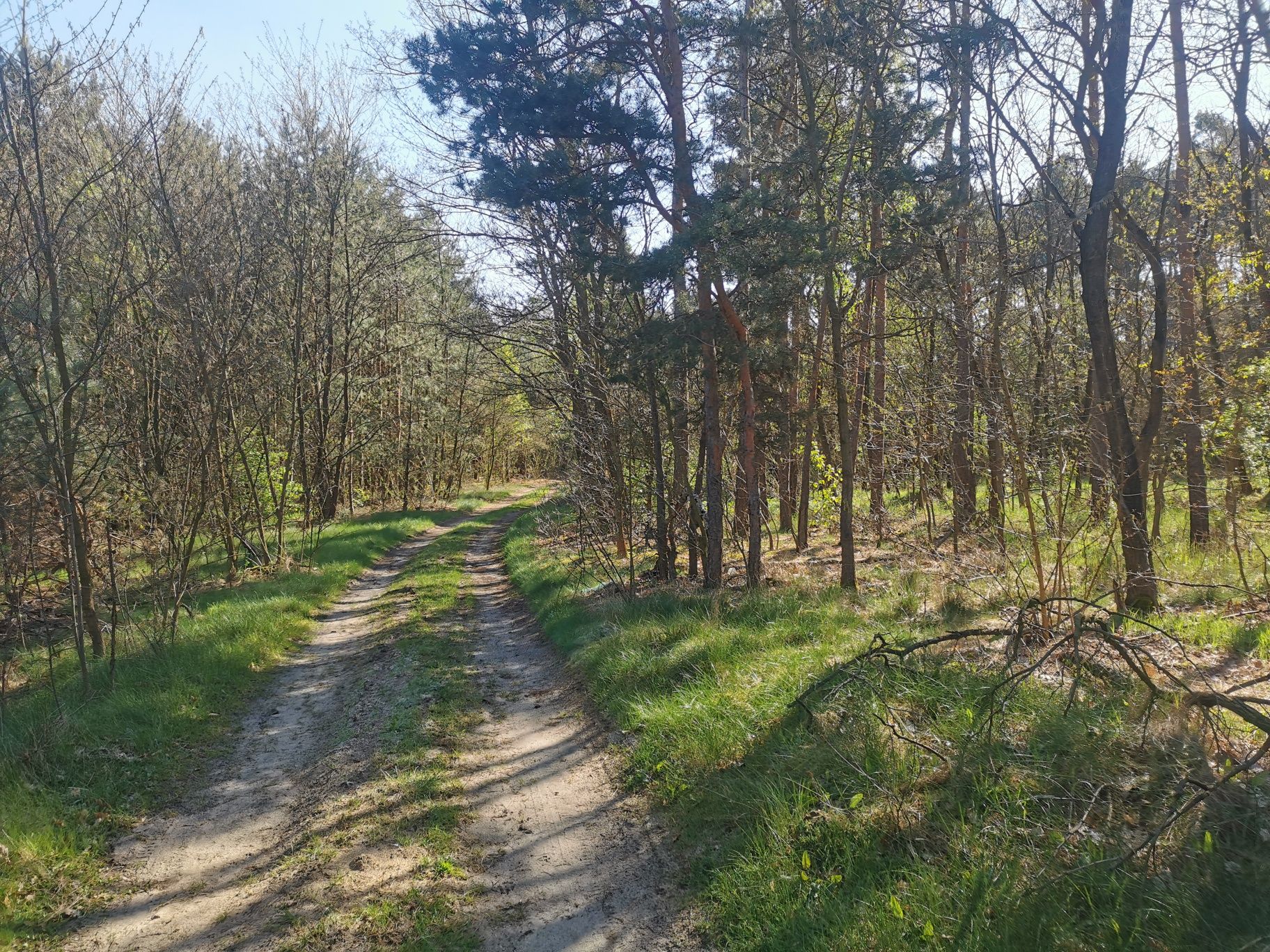 Działka rolno-leśna w Kajetanowicach - 4900 mkw, szer. 20 m