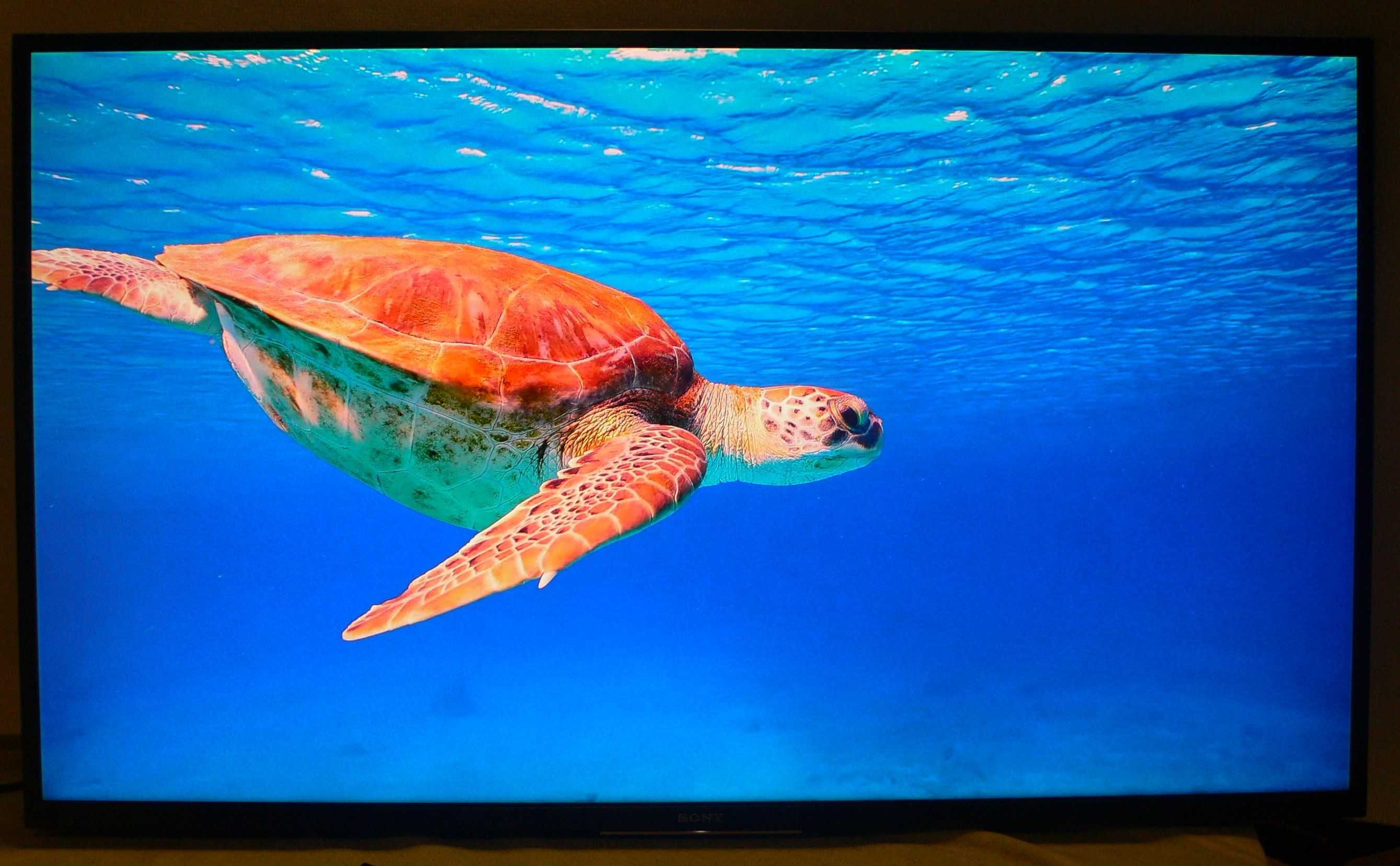 TV Sony 43" 4K HDR10  43XG8096  OS Android