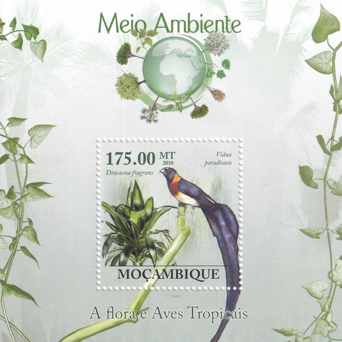 Mozambik 2010 cena 4.90 zł kat.8€ (2) - ptaki