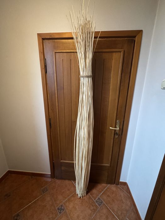 Snopek wikliny białej