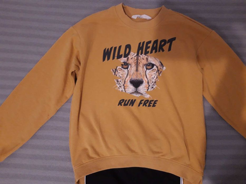 Bluza  dla dziewczynki HM 146