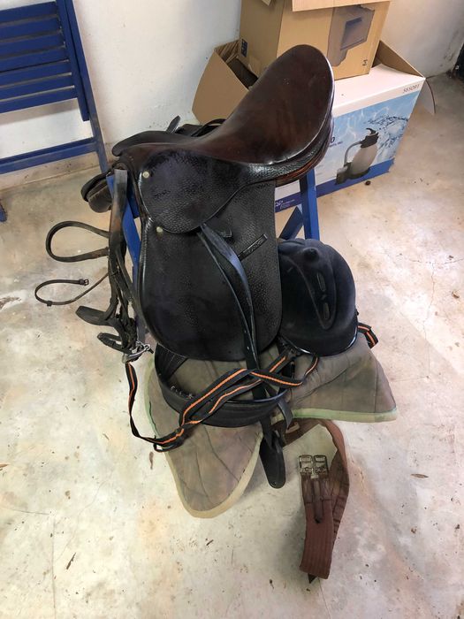 Cela para cavalo, tudo completo