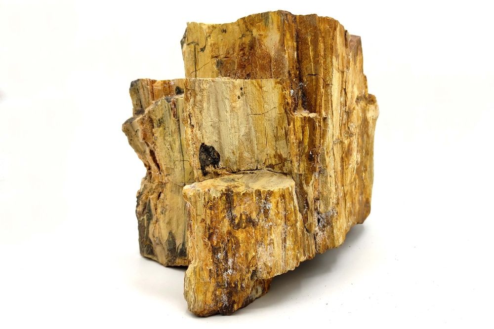 Tiger Eye / Petrified wood stone. Aquascaping akwarium